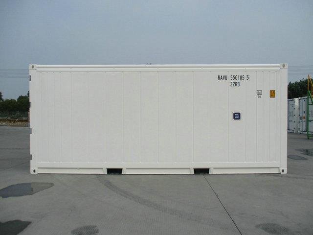 Container reefer 20' primo viaggio