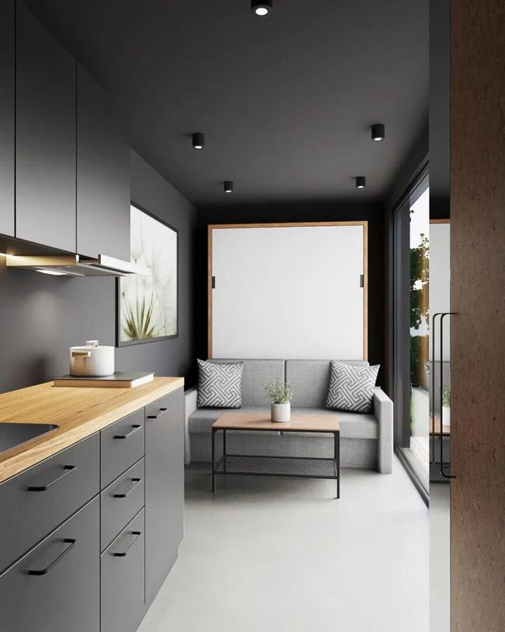 Tiny house modulaire L15 sur container 20' HC