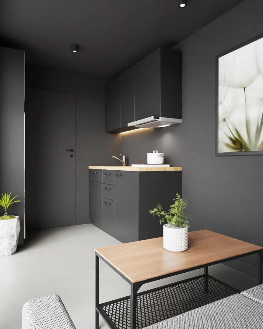 Tiny house modulaire L15 sur container 20' HC