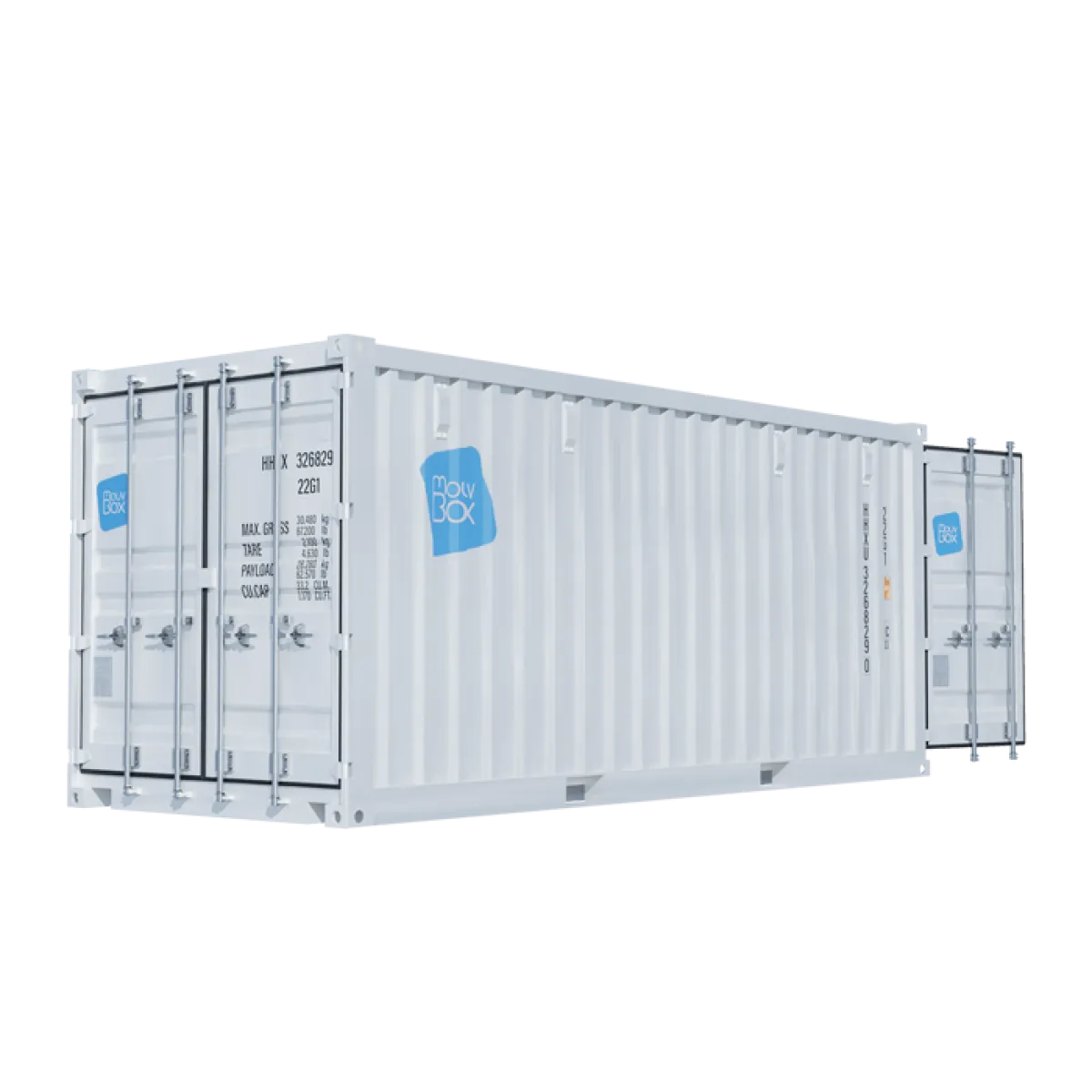 Container marittimo 20 piedi DRY Doppia Porta nuovo