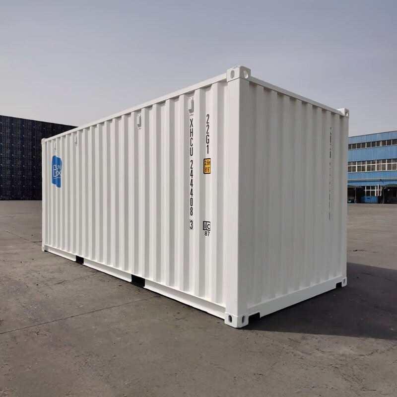 Zeecontainer 20 voet DRY nieuw